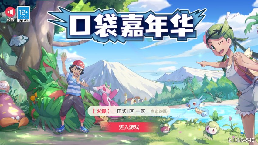 口袋觉醒13